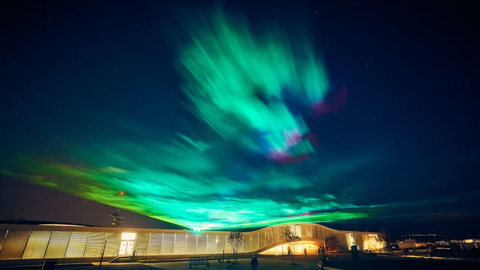 Borealis