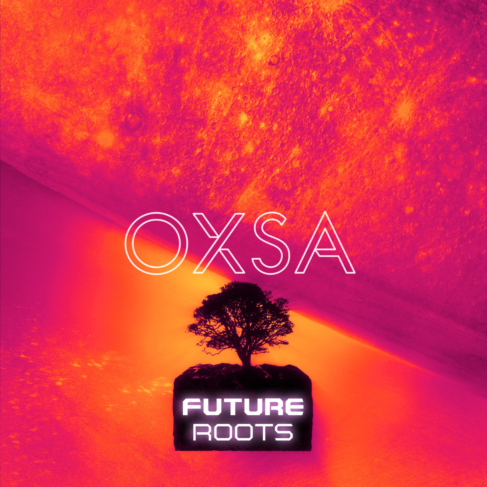 Pochette album Future Roots par OXSA
